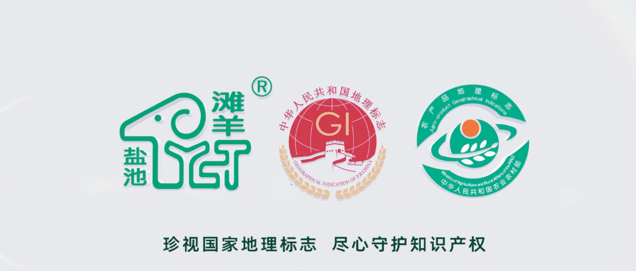电视类二等奖作品（2022年）