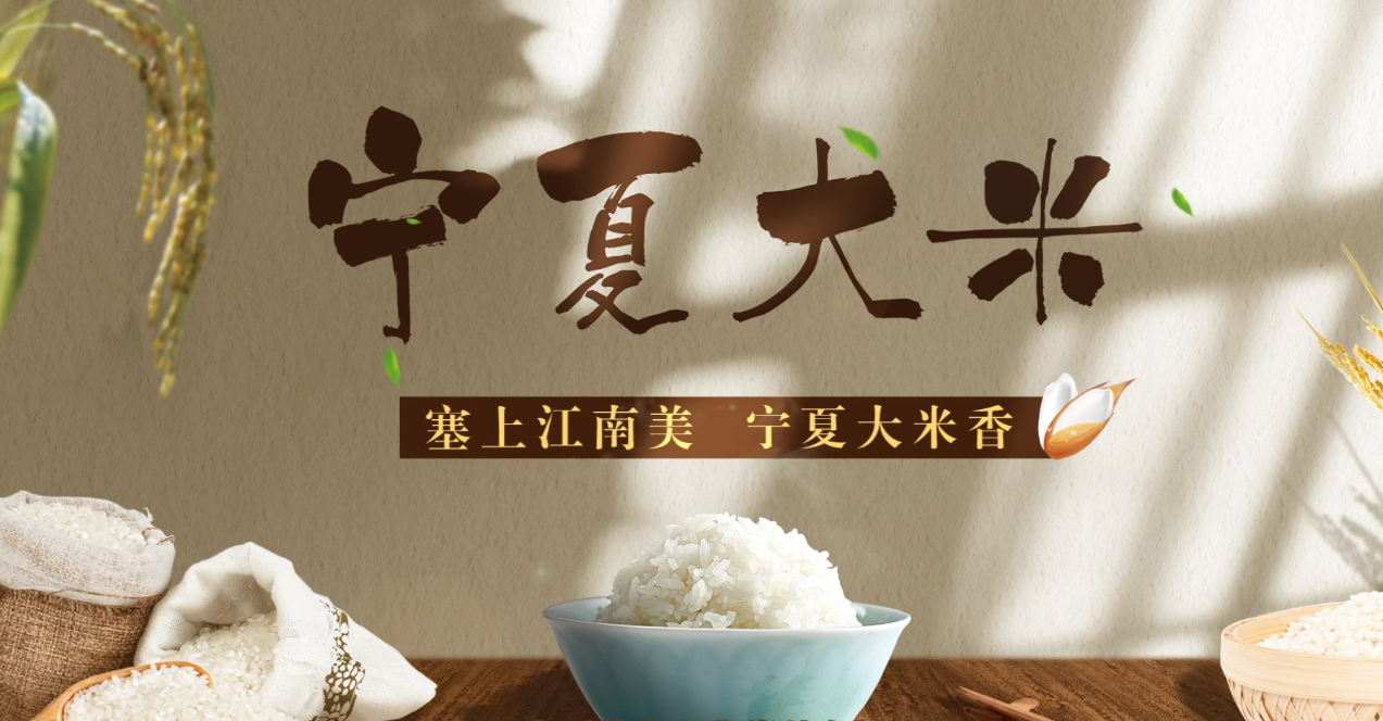 电视类一等奖作品（2021）